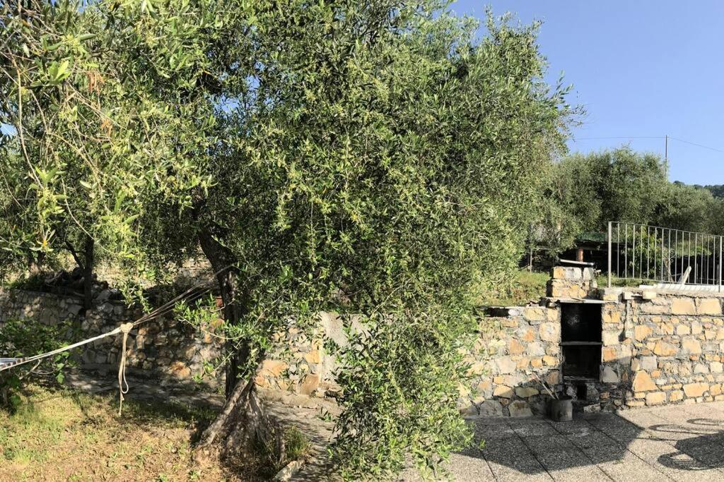 Villa Berio Due - Tuija Villa Viani Экстерьер фото